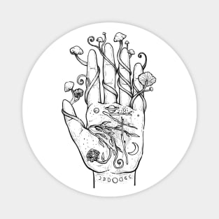 Palmistry - White Magnet